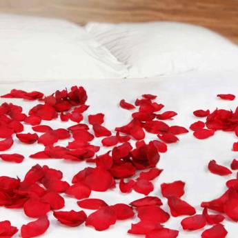 Comprar o produto de petalas de rosas perfumadas em Outros pela empresa Sexshop Ivone Vito em Bauru, SP por Solutudo