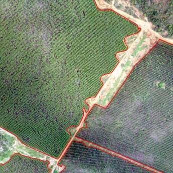 Comprar o produto de Sinistro Florestal em A Classificar em Botucatu, SP por Solutudo