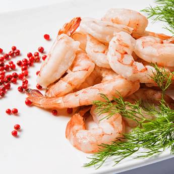 Comprar o produto de Camarão MEDIO  em A Classificar em Assis, SP por Solutudo