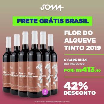 Comprar o produto de VINHO PORTUGUÊS - FLOR DO ALQUEVE TINTO - 2019 em A Classificar em Jundiaí, SP por Solutudo