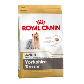 Comprar o produto de YORKSHIRE TERRIER ADULT ROYAL CANIN em Outros em Barra Bonita, SP por Solutudo