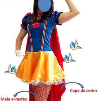 Comprar o produto de 2859 - Princesa das neves adulto (40 a 46) em Fantasia Adulto Feminina em Tietê, SP por Solutudo