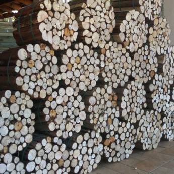 Comprar o produto de LENHA DE EUCALIPTO SECO - SACO em A Classificar em Botucatu, SP por Solutudo