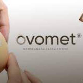 Comprar o produto de Ovomet 300mg 30 cápsulas em Dor / Inflamação pela empresa Farmalu - Farmácia de Manipulação em Atibaia, SP por Solutudo