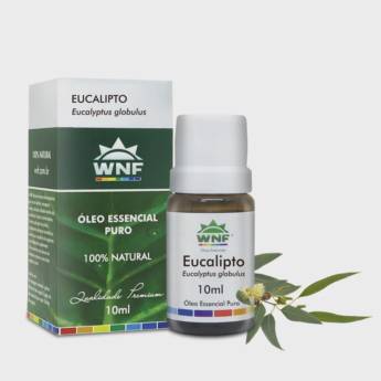 Comprar o produto de Óleo essencial Eucalipto em Produtos Naturais em Botucatu, SP por Solutudo