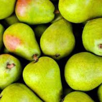 Comprar o produto de Pêra em Alimentos em Jundiaí, SP por Solutudo