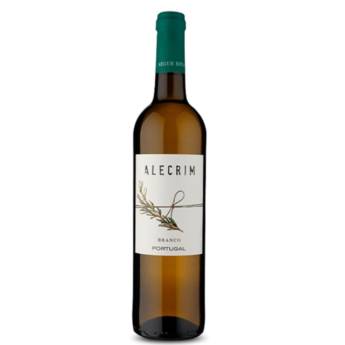 Comprar o produto de Vinho Alecrim Branco- 750ml em Vinhos em Aracaju, SE por Solutudo