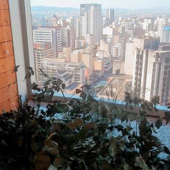 Comprar o produto de Psicologa clínica  em Psicologia em São Paulo, SP por Solutudo