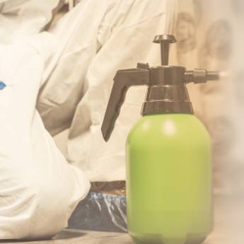 Comprar o produto de Desratização  em Nossos Serviços em Americana, SP por Solutudo