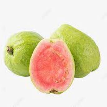 Comprar o produto de GOIABA VERMELHA 500g em Hortifruti pela empresa JB Frutas e Legumes em São Paulo, SP por Solutudo