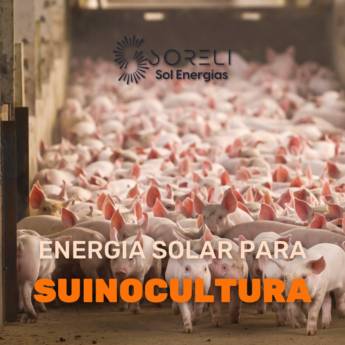 Comprar o produto de Energia Solar para Suinocultura  em Instalação solar em Foz do Iguaçu, PR por Solutudo