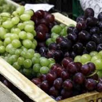 Comprar o produto de Uva sem semente em Alimentos em Jundiaí, SP por Solutudo