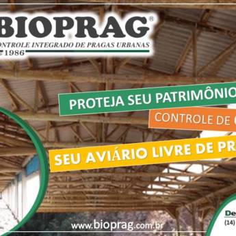 Comprar o produto de Bioprag Dedetizadora em A Classificar em Boituva, SP por Solutudo