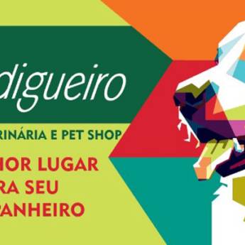 Comprar o produto de Banho e Tosa entre Patas e Pelos em Pet Shop em Santa Cruz do Rio Pardo, SP por Solutudo