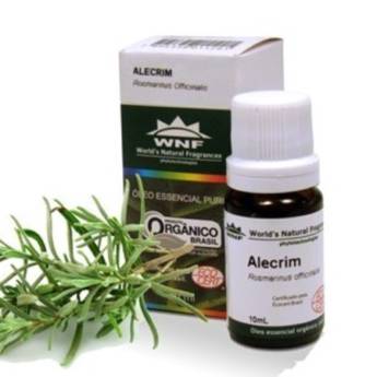 Comprar o produto de ÓLEO ESSENCIAL DE ALECRIM  em Óleos em Assis, SP por Solutudo