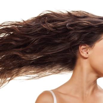 Comprar o produto de Cauterização Capilar em Cabelos em Jundiaí, SP por Solutudo