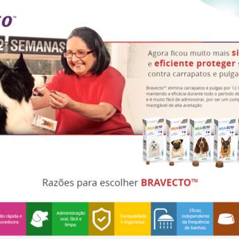 Comprar o produto de Bravecto 4,5 a 10 kg em Higiene e Limpeza em Botucatu, SP por Solutudo