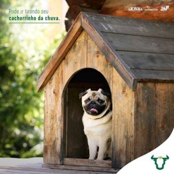 Comprar o produto de Casinhas de Cachorro  em Casas pela empresa Casa da Lavoura em Mineiros, GO por Solutudo