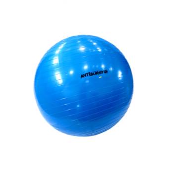 Comprar o produto de Bola Para Pilates medidas 55, 65, 75 diâmetro  em Bolas em Jundiaí, SP por Solutudo