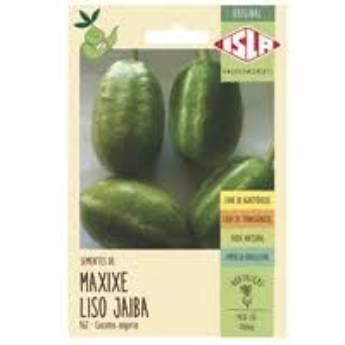 Comprar o produto de semente maxixe jaiba em A Classificar em Botucatu, SP por Solutudo
