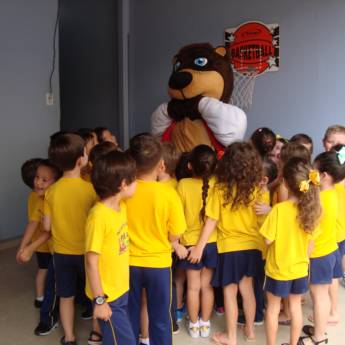 Comprar o produto de Visita do Buddy em A Classificar em Boituva, SP por Solutudo