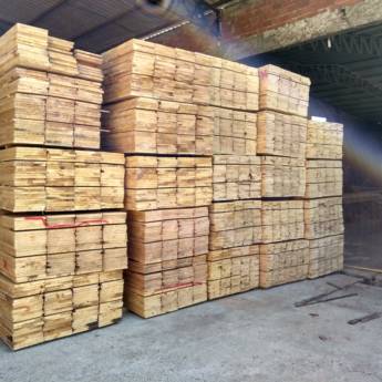 Comprar o produto de Tábuas de madeira pinus em Madeira pela empresa Madeiras Brasil 2000 - Madeiras Decks Pergolados e Portas em Foz do Iguaçu, PR por Solutudo