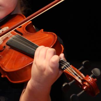 Comprar o produto de Violino em Escolas de Música em Aracaju, SE por Solutudo