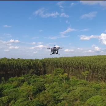 Comprar o produto de Dispersão de Sementes em Consultoria em Gestão de Negócios em Botucatu, SP por Solutudo