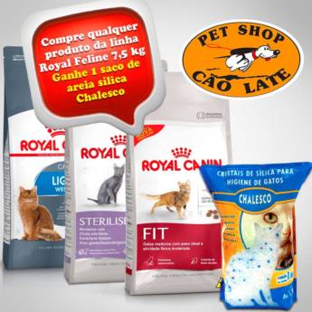 Comprar o produto de royal canin em Gatos em Jundiaí, SP por Solutudo