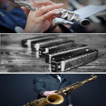 Comprar o produto de Instrumentos de Sopro (Improvisação) em Escolas de Música em Aracaju, SE por Solutudo