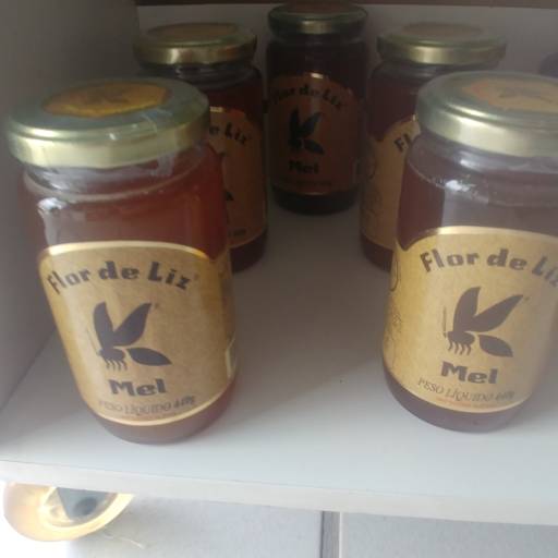 Mel- Flor de Liz por Saúde e Vida