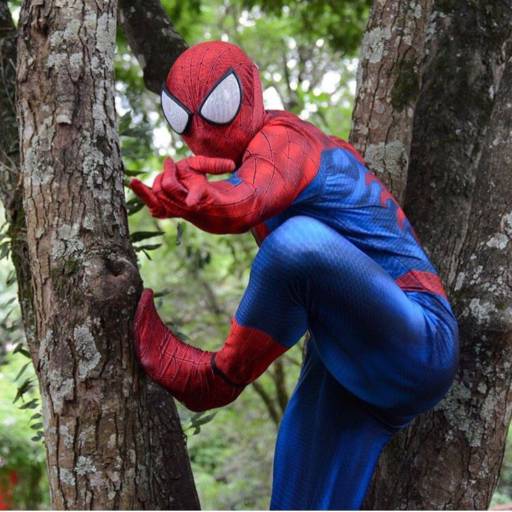 PERSONAGEM VIVO HOMEM ARANHA por CB Espaço Kids