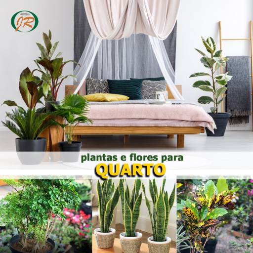 Plantas e Flores Ideais para o Quarto  em Americana, SP por JR Gramas & Paisagismo