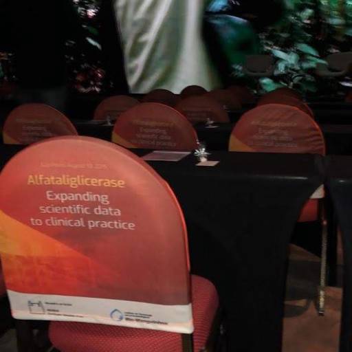 Capa de Cadeira Personalizada em São José do Rio Preto, SP por Public Gráfica e Brindes