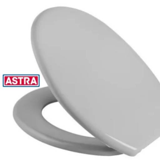 Assento Sanitário Soft Cinza Astra em Boituva, SP por Solução Materiais e Equipamentos
