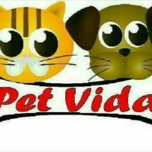Comprar o produto de Consulta veterinária  em A Classificar pela empresa Pet Vida Clínica Veterinária em Bauru, SP por Solutudo