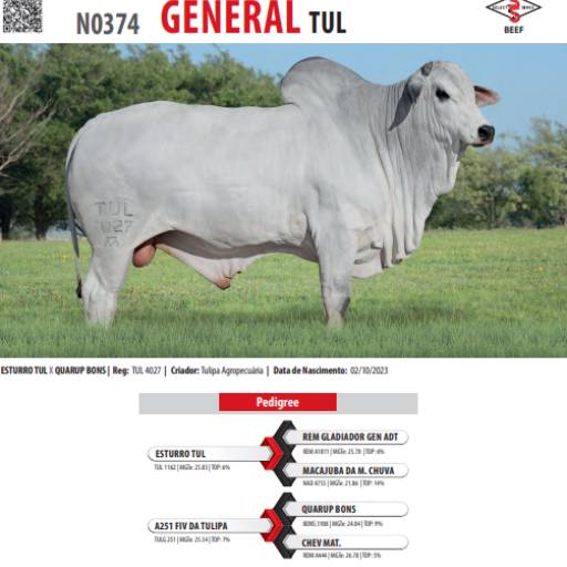 Touro Nelore General TUL (N0374)