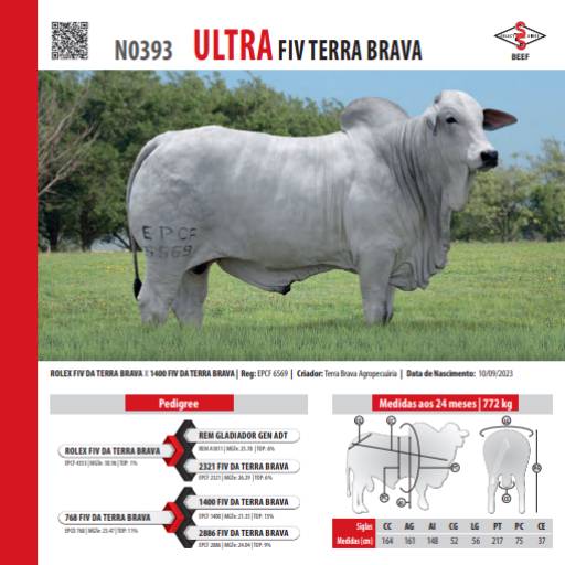 Touro Nelore Ultra FIV Terra Brava (N0393)