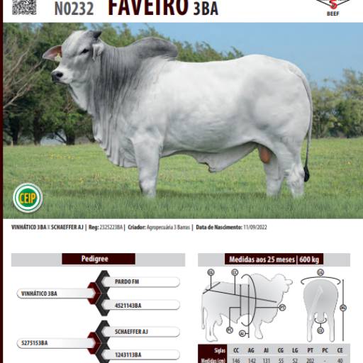 Touro Nelore Faveiro 3BA (N0232)