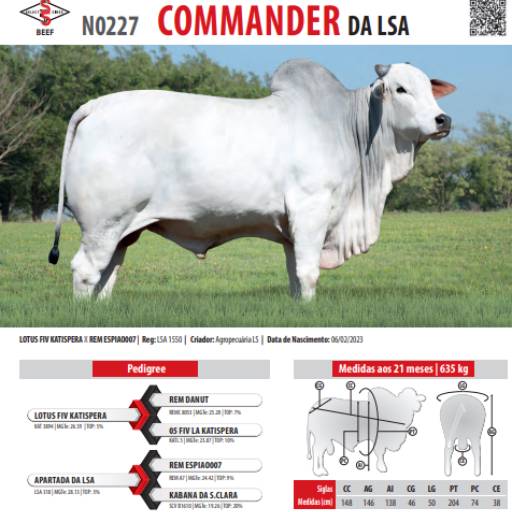 Touro Nelore Commander da LSA (N0227)