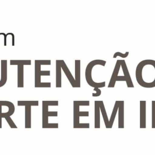 Formatação e Assistência técnica em informática em Boituva, SP por Loba Alpha