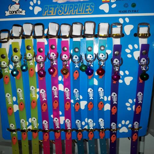 Coleira gatos silicone