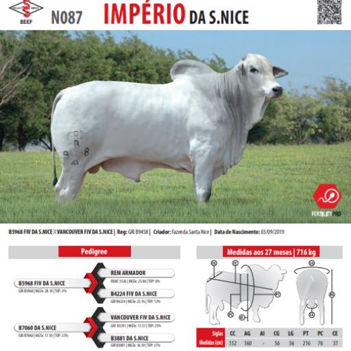 Touro Nelore Imperio da S. Nice (N087)