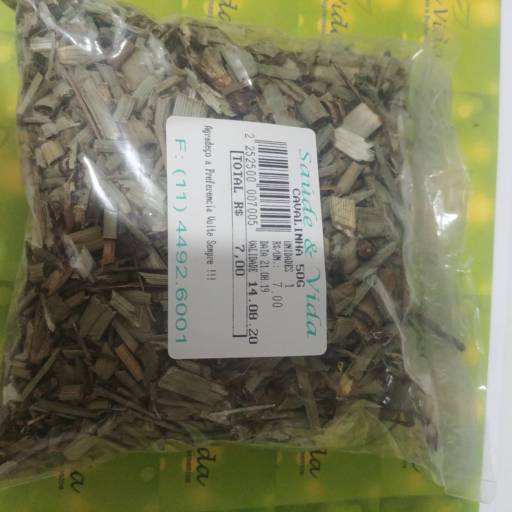 Cavalinha por Saúde e Vida