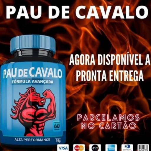 Pau de Cavalo CÁPSULAS