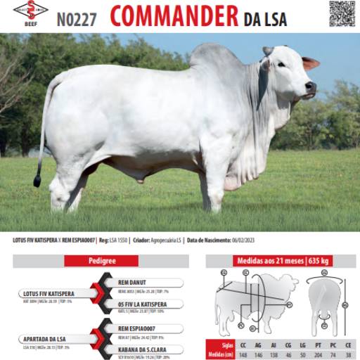 Touro Nelore Commander da LSA (N0227)