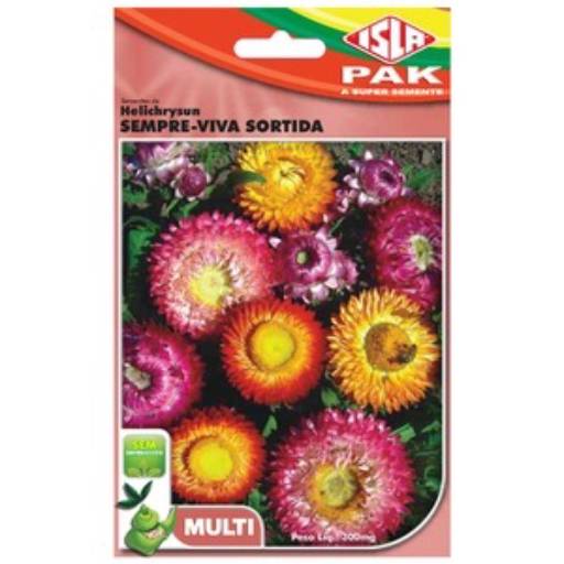 semente sempre-viva dobrada sortida  em Botucatu, SP por Botucatu Garden