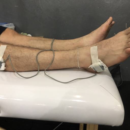 HAIHUA por Livia Cruz Acupuntura