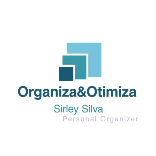 Trabalhos Realizados Profissional de Organização* por Organiza e Otimiza - Sirley Silva - Personal Organizer em Bauru