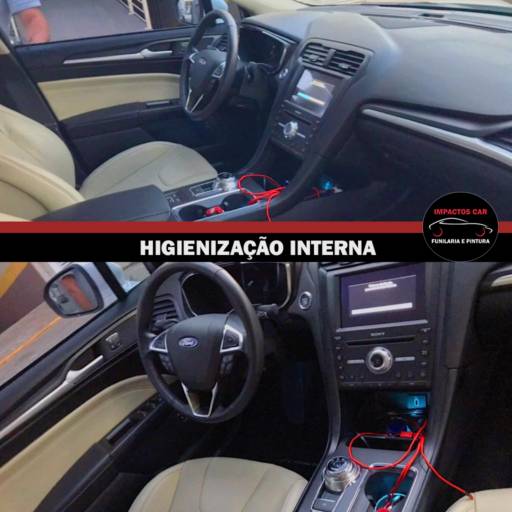 Higienização Interna 
